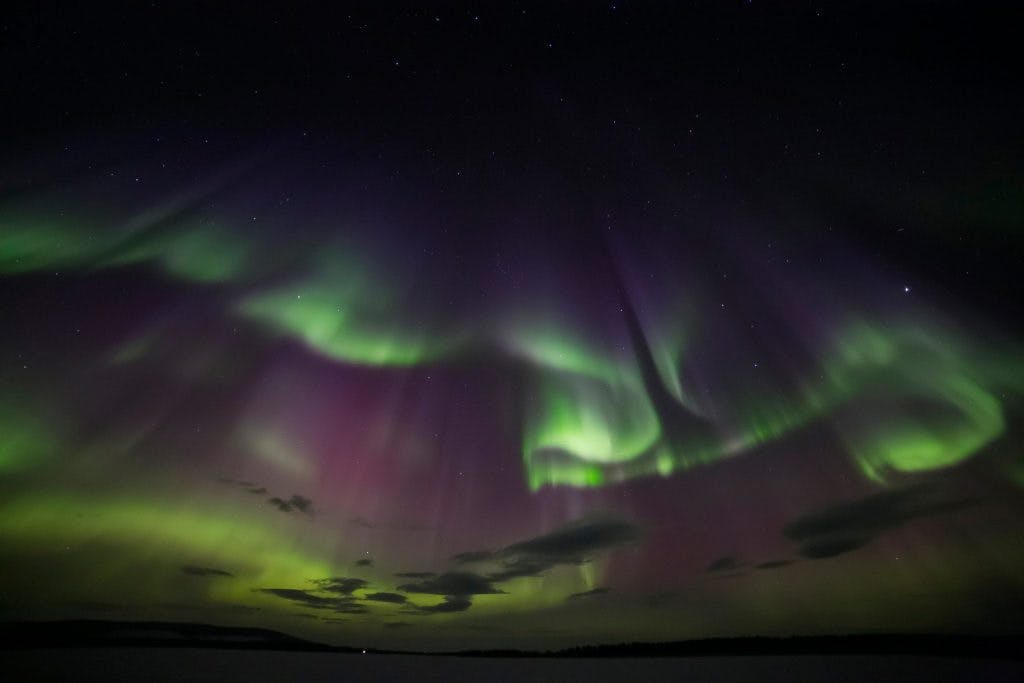 Ice floating in forest lake with northern lights