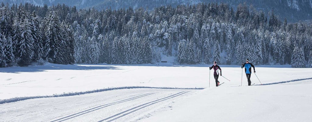 Experiência de esqui cross-country da Lapônia