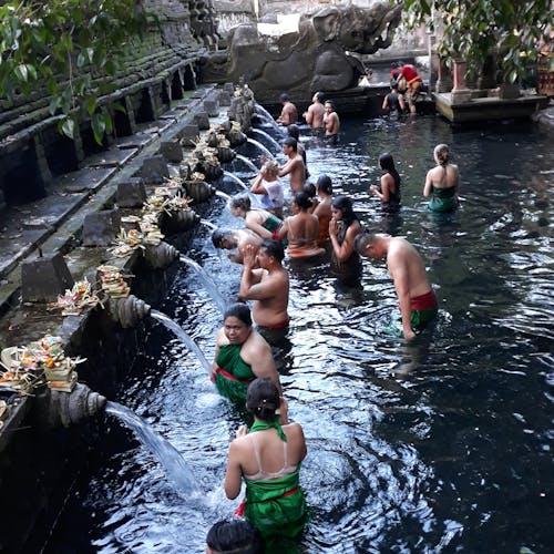 Bali Island tour and spa treatment