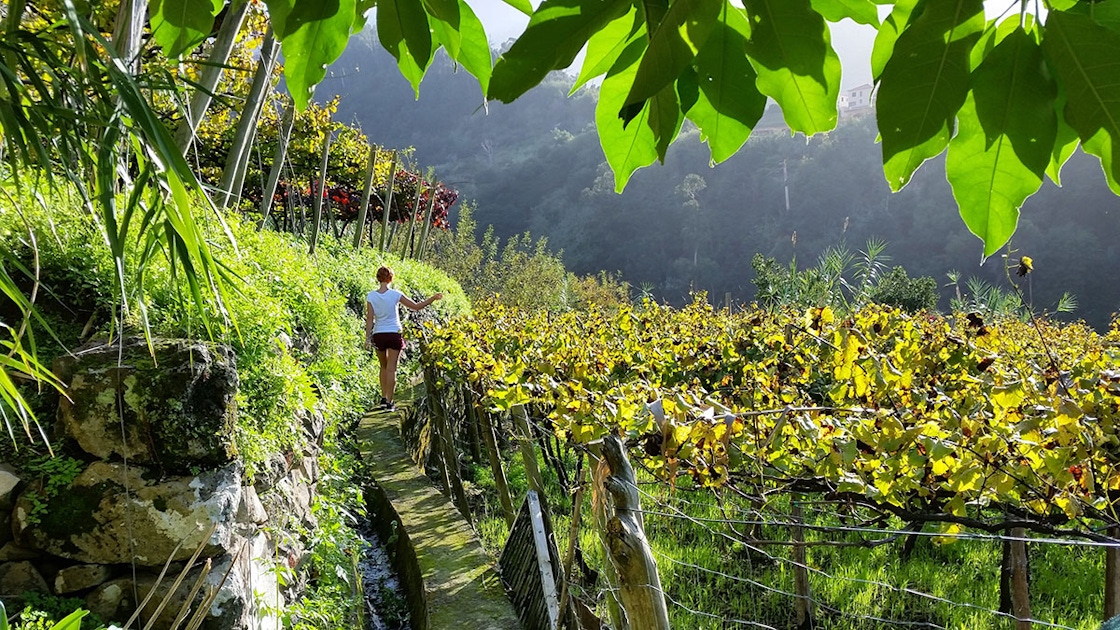 Funchal Must-See Attractions, Tours & Highlights Guide