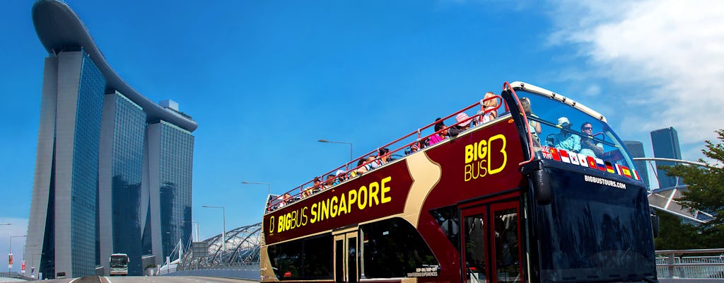 Grote bustour door Singapore