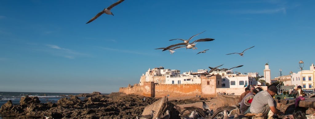Excursion d'une journée à Essaouira avec guide au départ de Marrakech