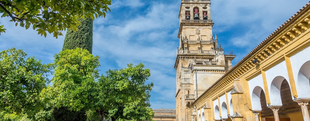 Córdoba: tour de la ciudad Patrimonio de la Humanidad