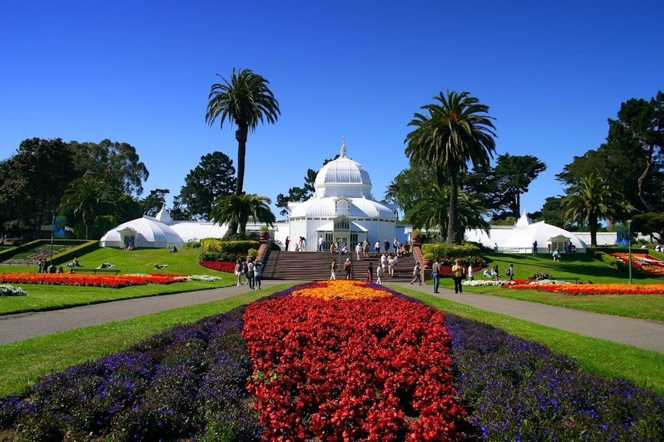 Golden Gate Park Tickets Tours and Attractions musement