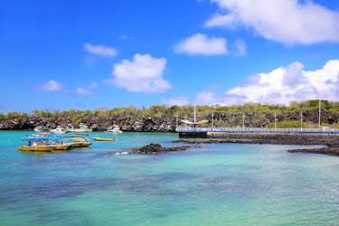 Visitas turísticas y actividades en la isla Santa Cruz