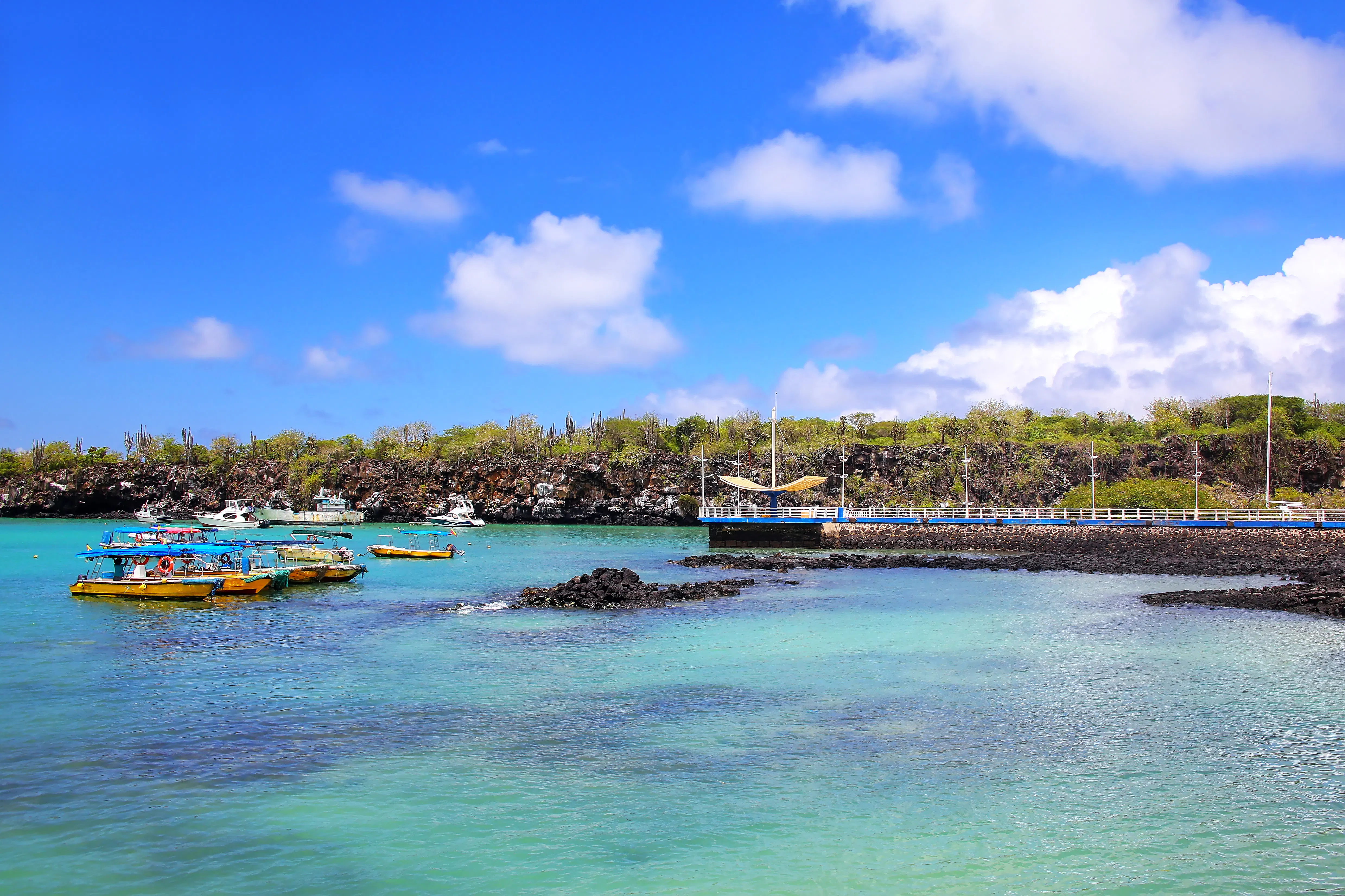 Santa Cruz Island