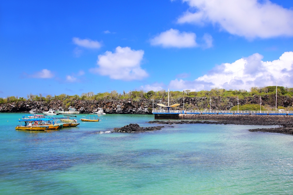 Santa Cruz Island musement