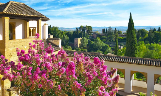 Alhambra guided tour with skip-the-line tickets and transport