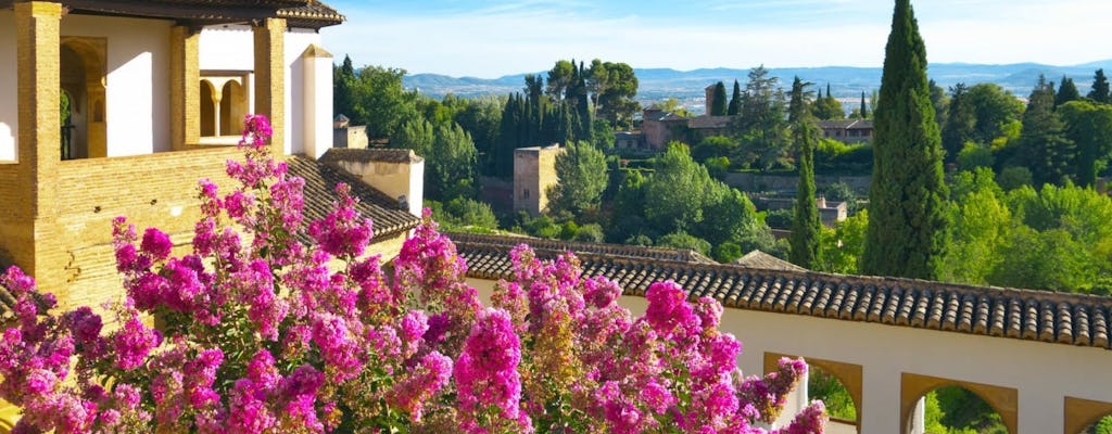 Visita guiada a la Alhambra por la mañana con entradas sin colas y transporte opcional