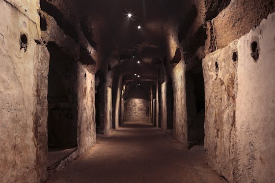 Entradas y visita guiada a las catacumbas de San Gaudioso