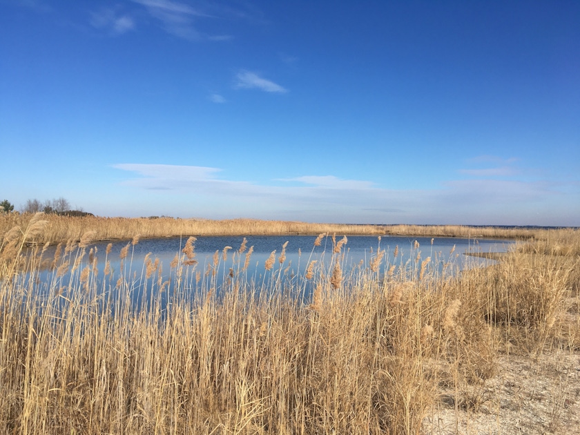 Condado de Talbot musement