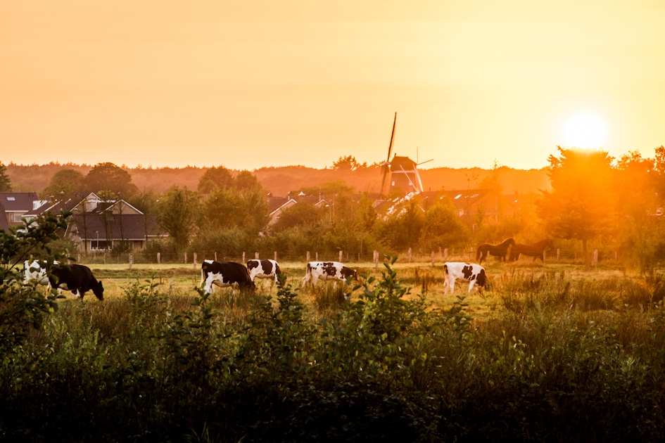 Hellendoorn musement