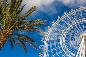 The Wheel w ICON Park