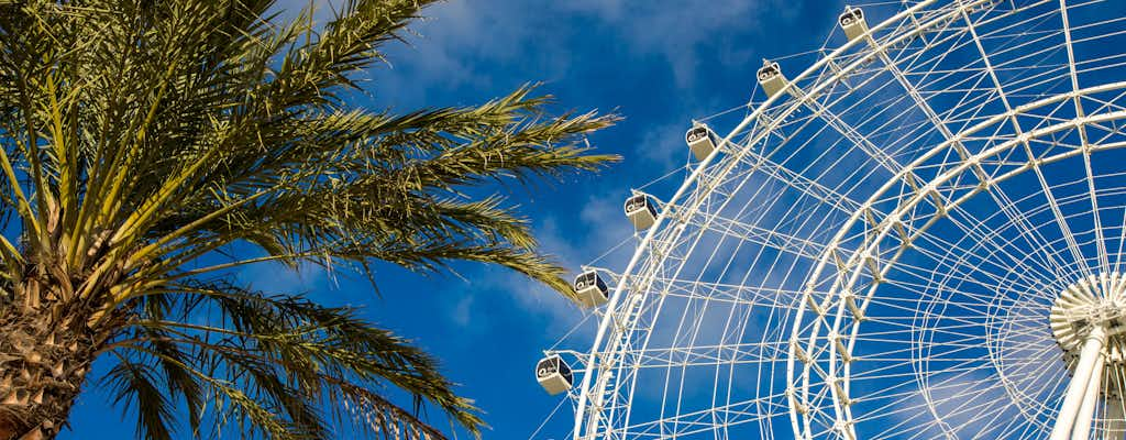 The Wheel w ICON Park