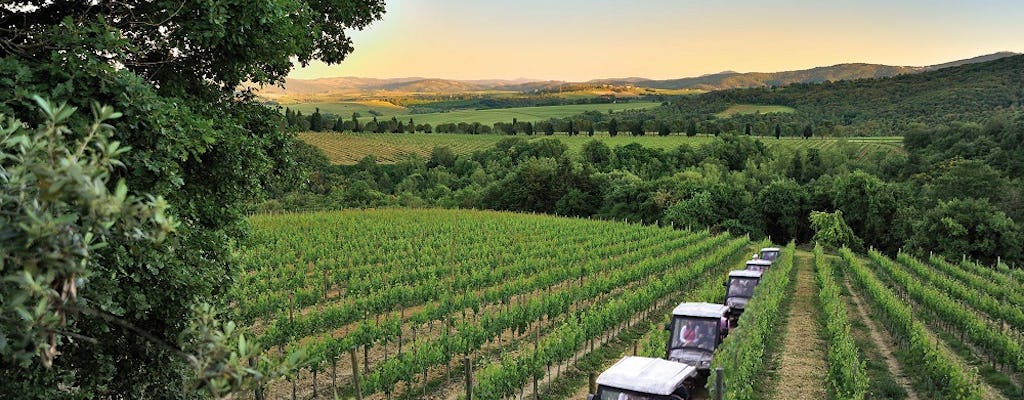 Tour ecologico del vino indimenticabile con trasferimento privato