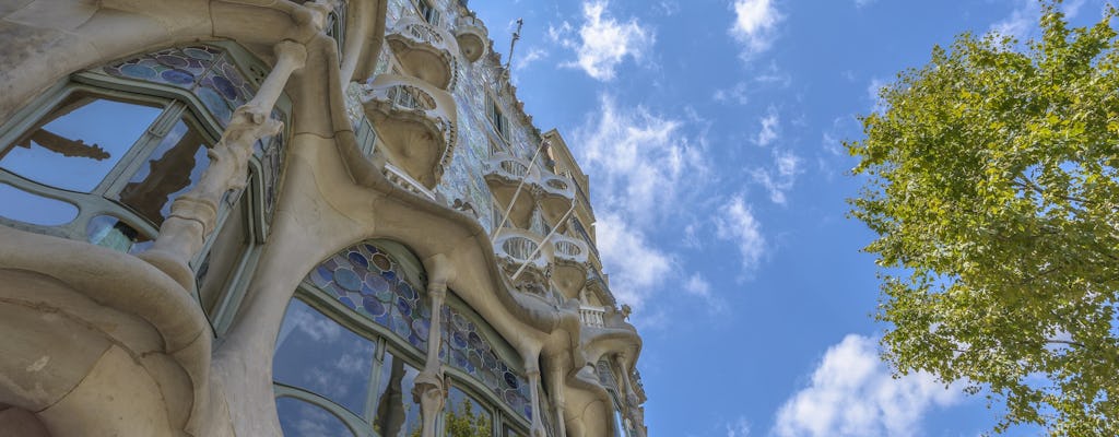 Casa Batlló Blaues Ticket