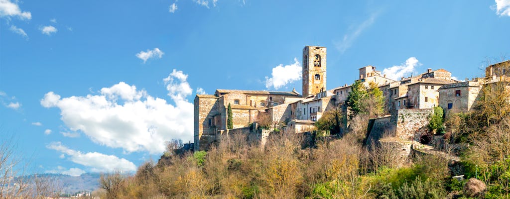 Tickets to San Pietro Museum in Colle Val d'Elsa
