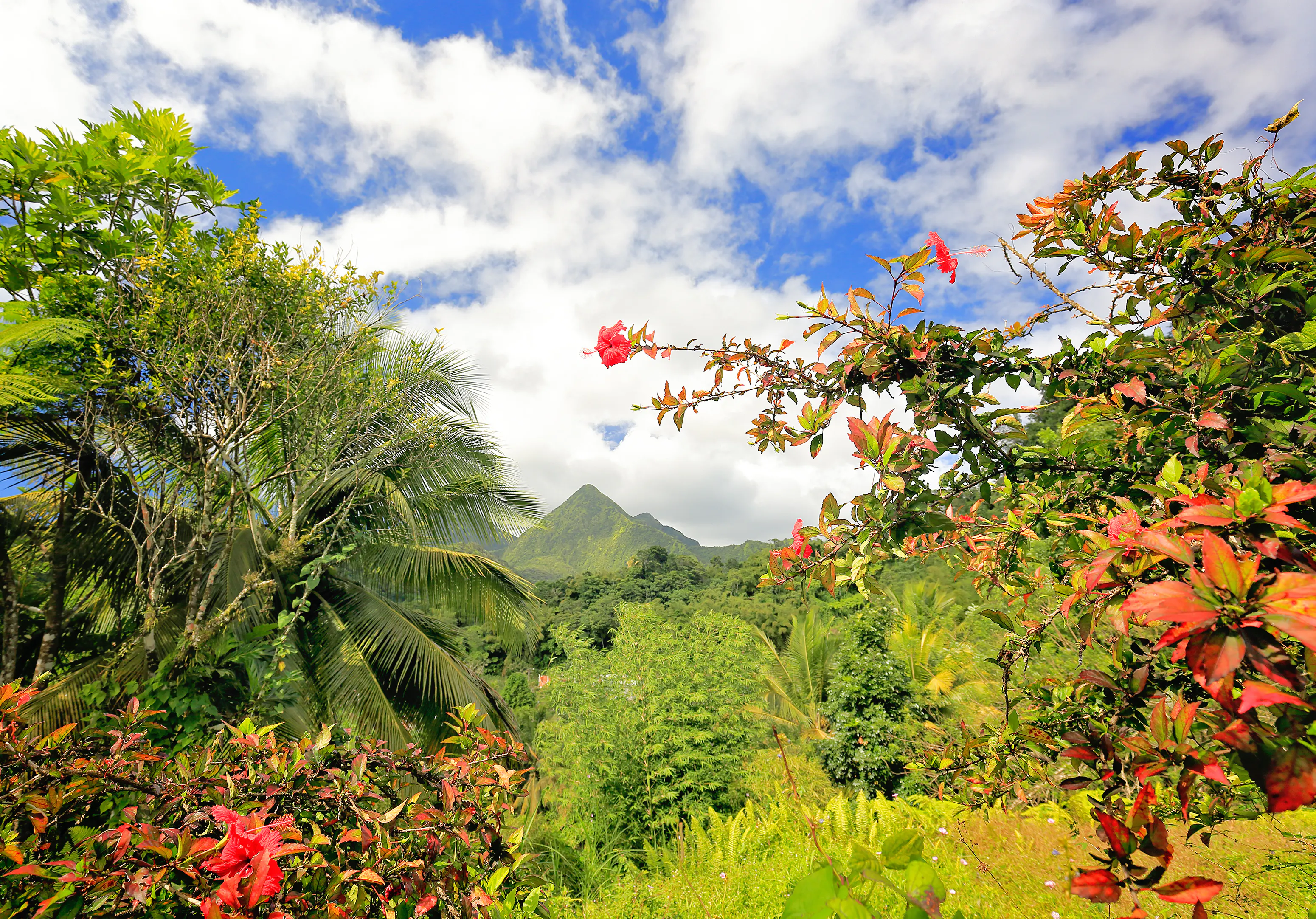 La Martinique