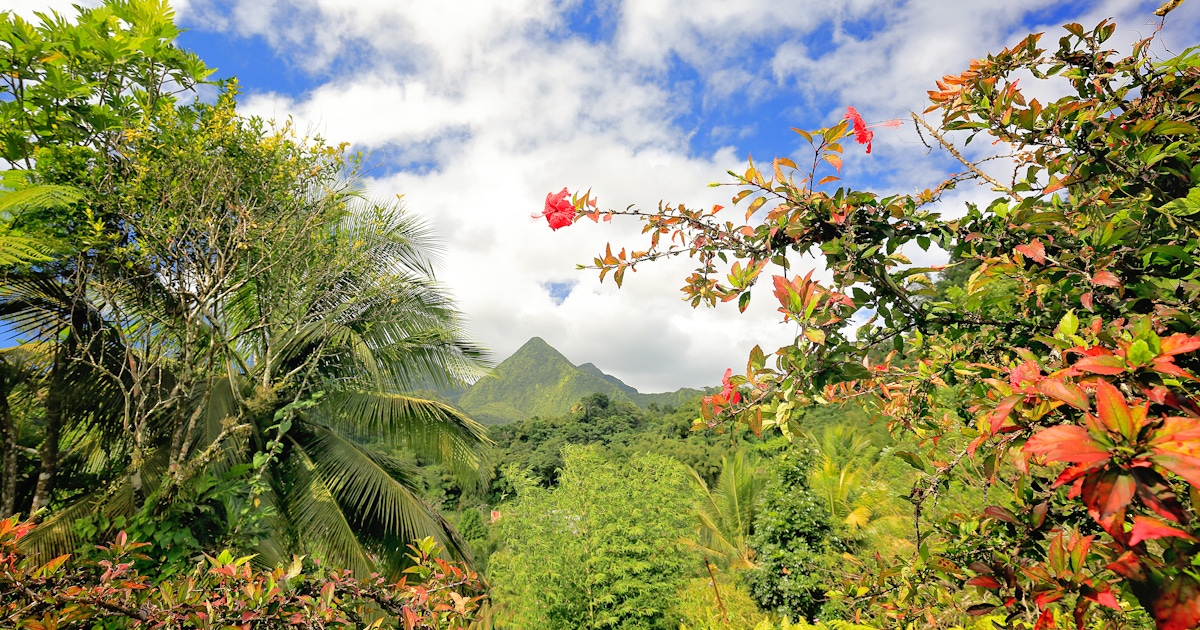 Martinique: Activities tours and attractions