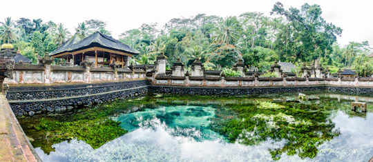 Bali traditional Ubud village sightseeing tour