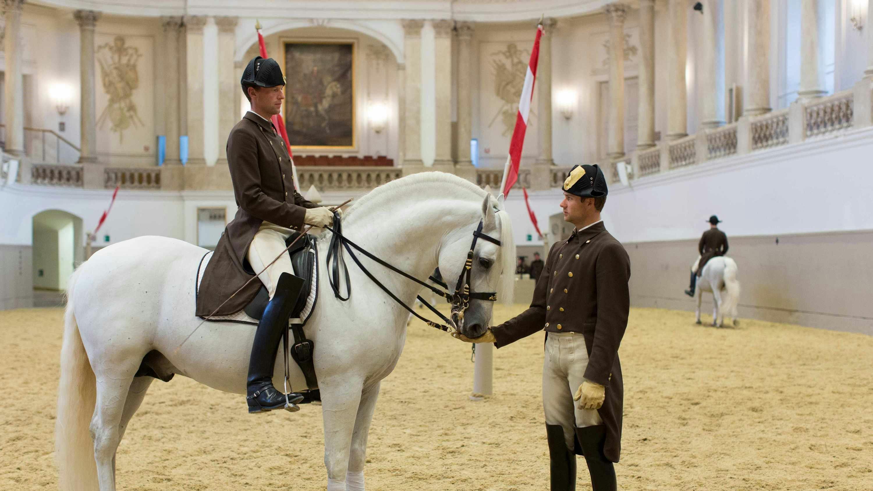 Treino na Escola Espanhola de Equitação em Viena