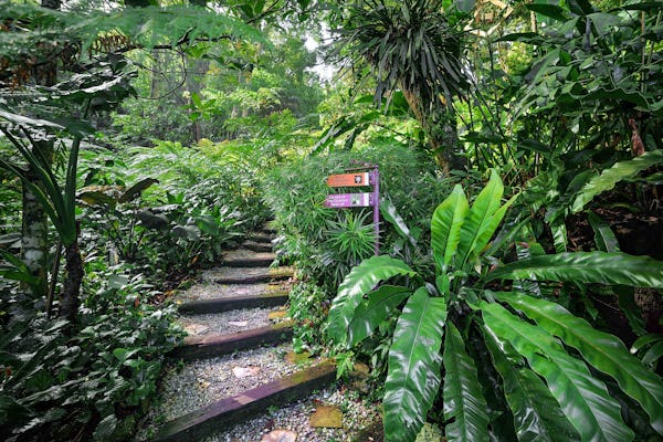 Tropikalna przyprawa Penang Garden Wstęp