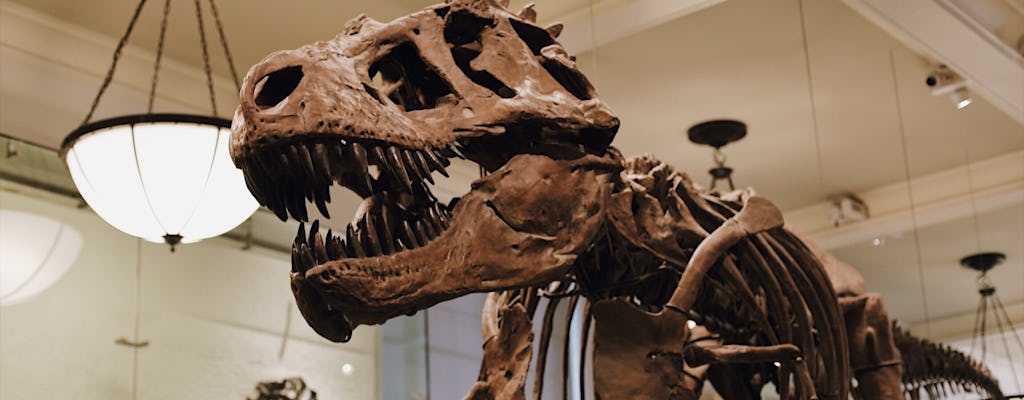 El Met y el Museo Americano de Historia Natural: visita sin colas privada y semiprivada