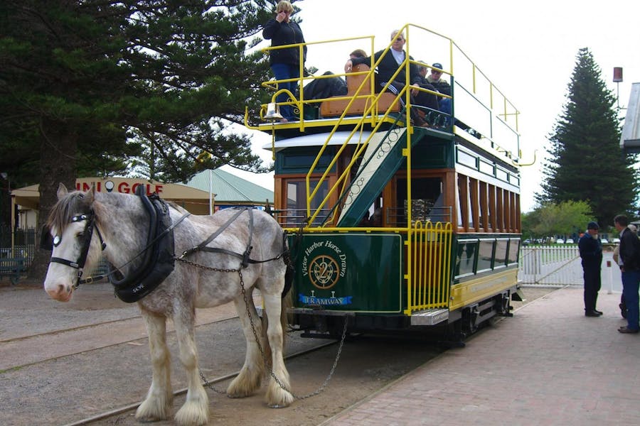 Full-day Victor Harbor with McLaren Vale Tour