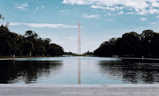 Private and Semi-Private The National Mall walking tour