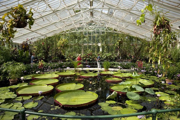 Ingressos para os Jardins de Kew
