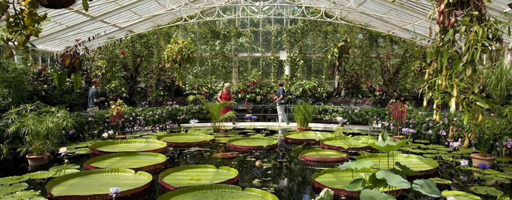 Billets pour les jardins de Kew