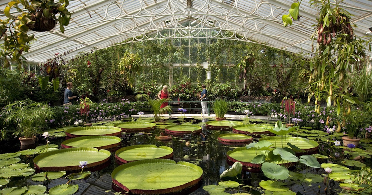 Kew Gardens Tickets Musement