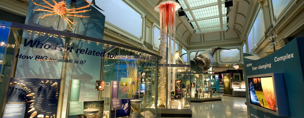 Privado y semi-privado Visita al Museo Nacional Smithsonian de Historia Natural