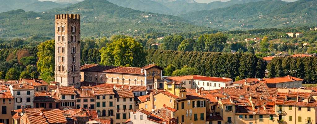 Visite gastronomique et viticole dans la campagne toscane au départ de Lucques