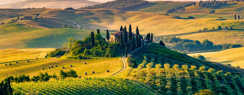 Comida y vino tour en la campiña toscana de Pisa