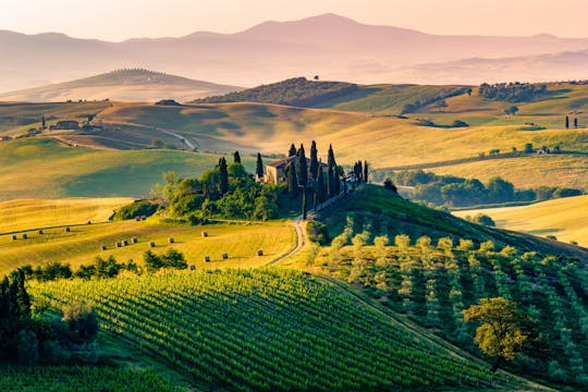 Comida y vino tour en la campiña toscana de Pisa