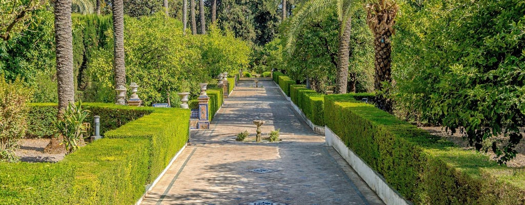 Visite guidée privée du Barrio de Santa Cruz et de l'Alcazar de Séville