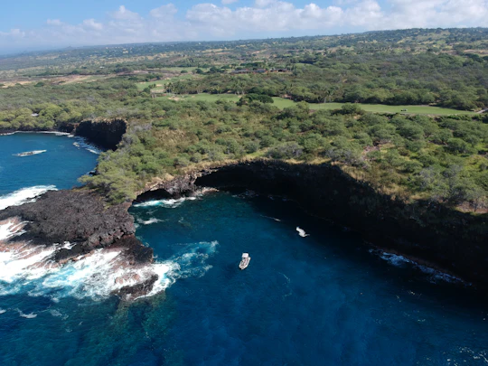 Hawaii whale watching
