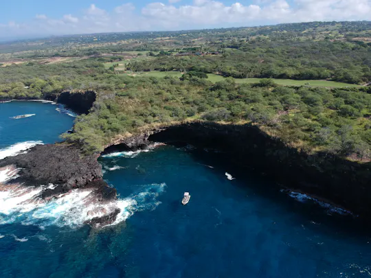 Hawaii whale watching