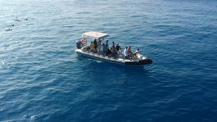 Cruzeiro de barco a motor Havaí e snorkeling