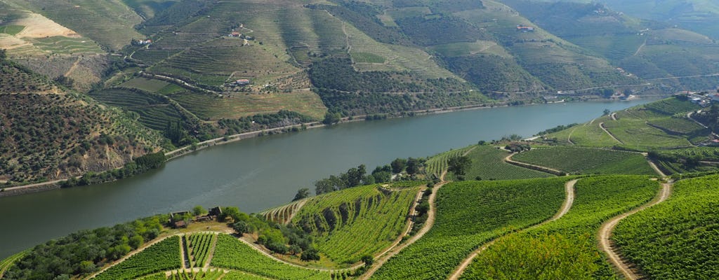 Experiência de vinho premium no Vale do Douro