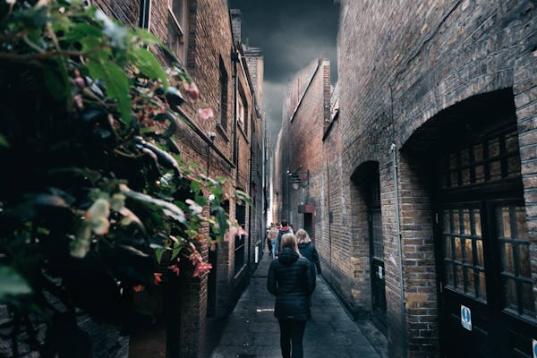Tour a piedi di Londra di Harry Potter con crociera sul Tamigi