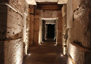 Visite des souterrains du Colisée en petit groupe avec le Forum romain et plus