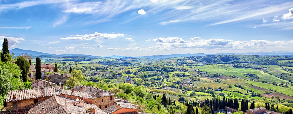 Montepulciano full-day wine tour with lunch