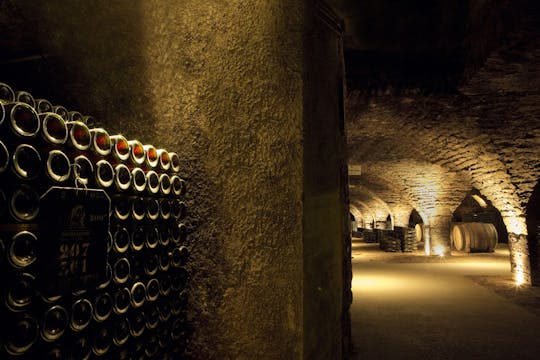 Dégustation de vins en Côte de Nuits, y compris une visite guidée en cave