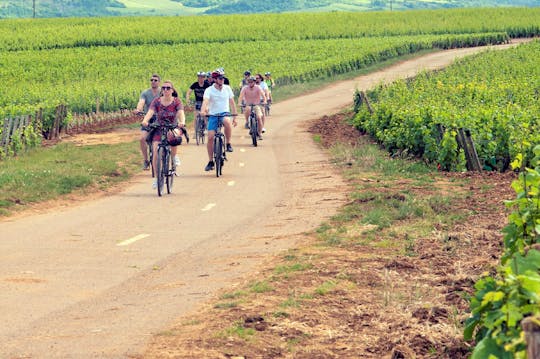 1-week guided bike tour of Burgundy wine region