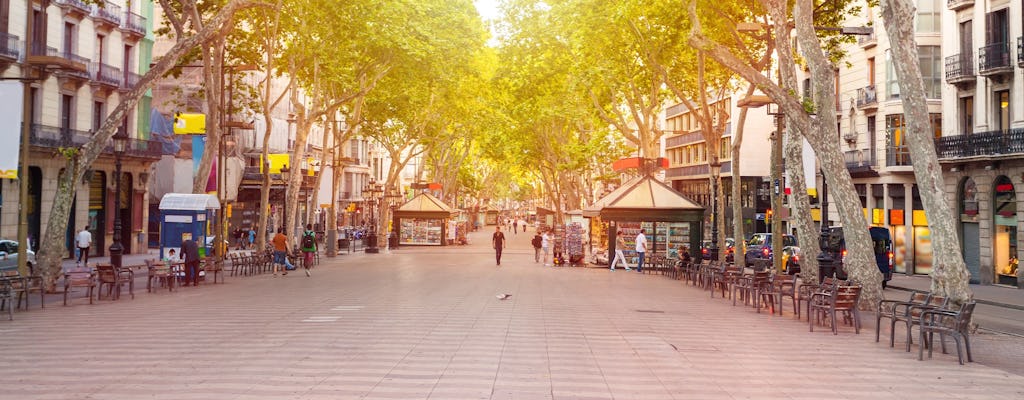 Privétour door de gotische wijk in Barcelona met optioneel bezoek aan het Picasso Museum