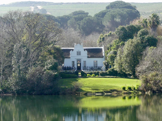 Wineland region visit with wine tasting and Franschhoek Tramway