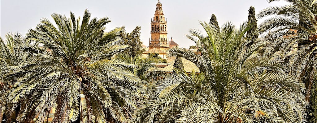 Córdoba group walking tour