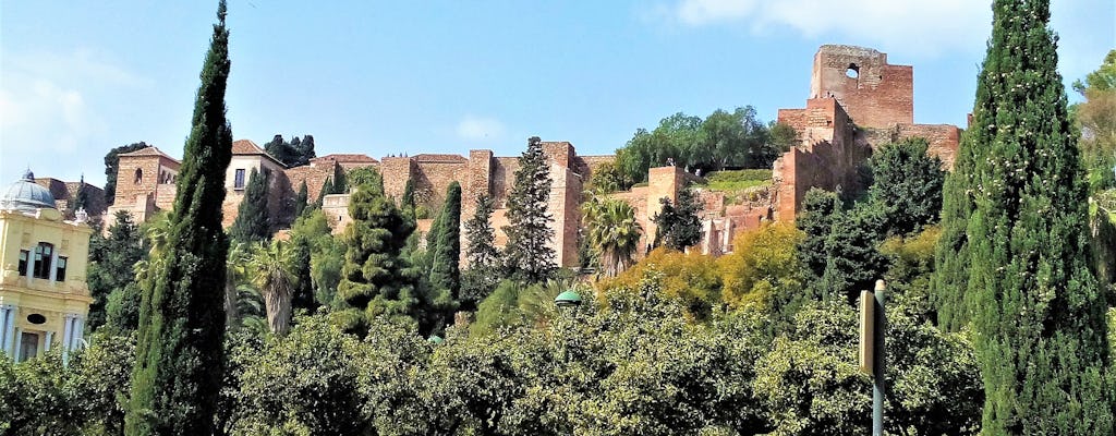 Visite à pied de Malaga en groupe